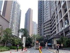 武昌积玉桥最新爆料,揭秘历史古桥的神秘故事与变迁